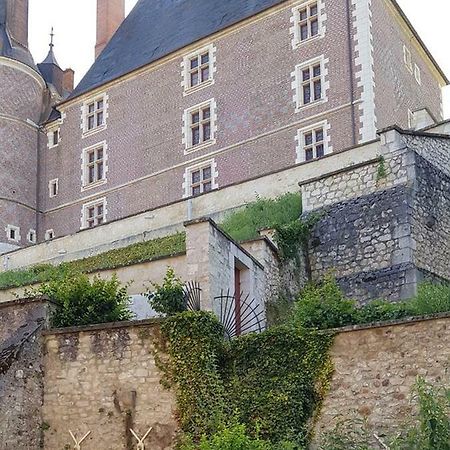 Charmant Appartement Au Pied Du Chateau Ж'єн Екстер'єр фото