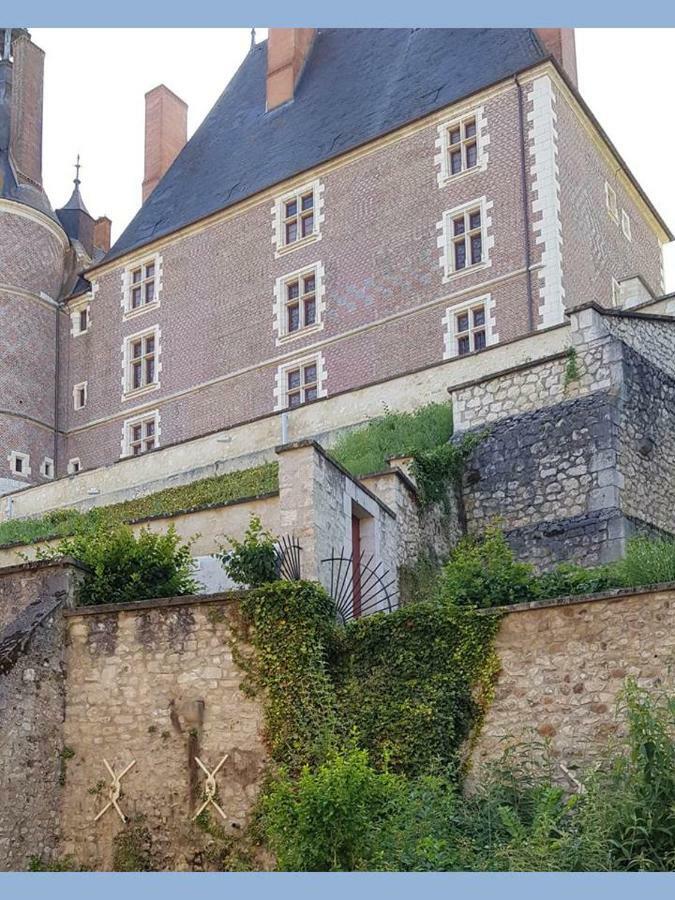 Charmant Appartement Au Pied Du Chateau Ж'єн Екстер'єр фото